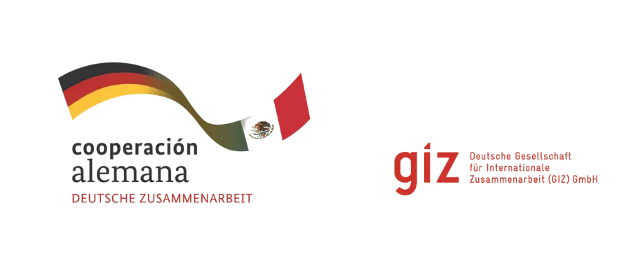giz logo