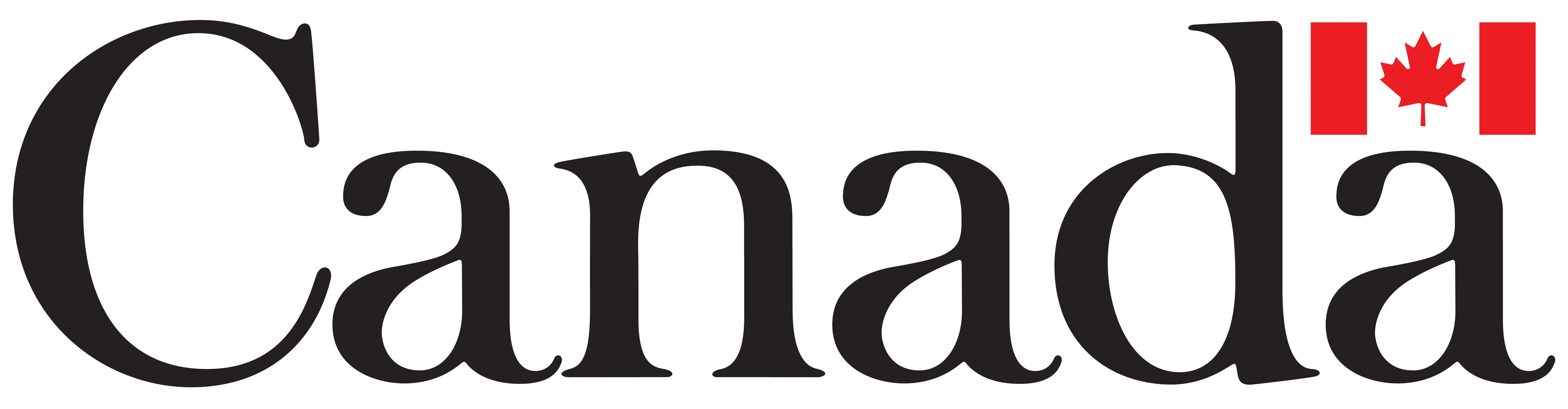 can wordmark