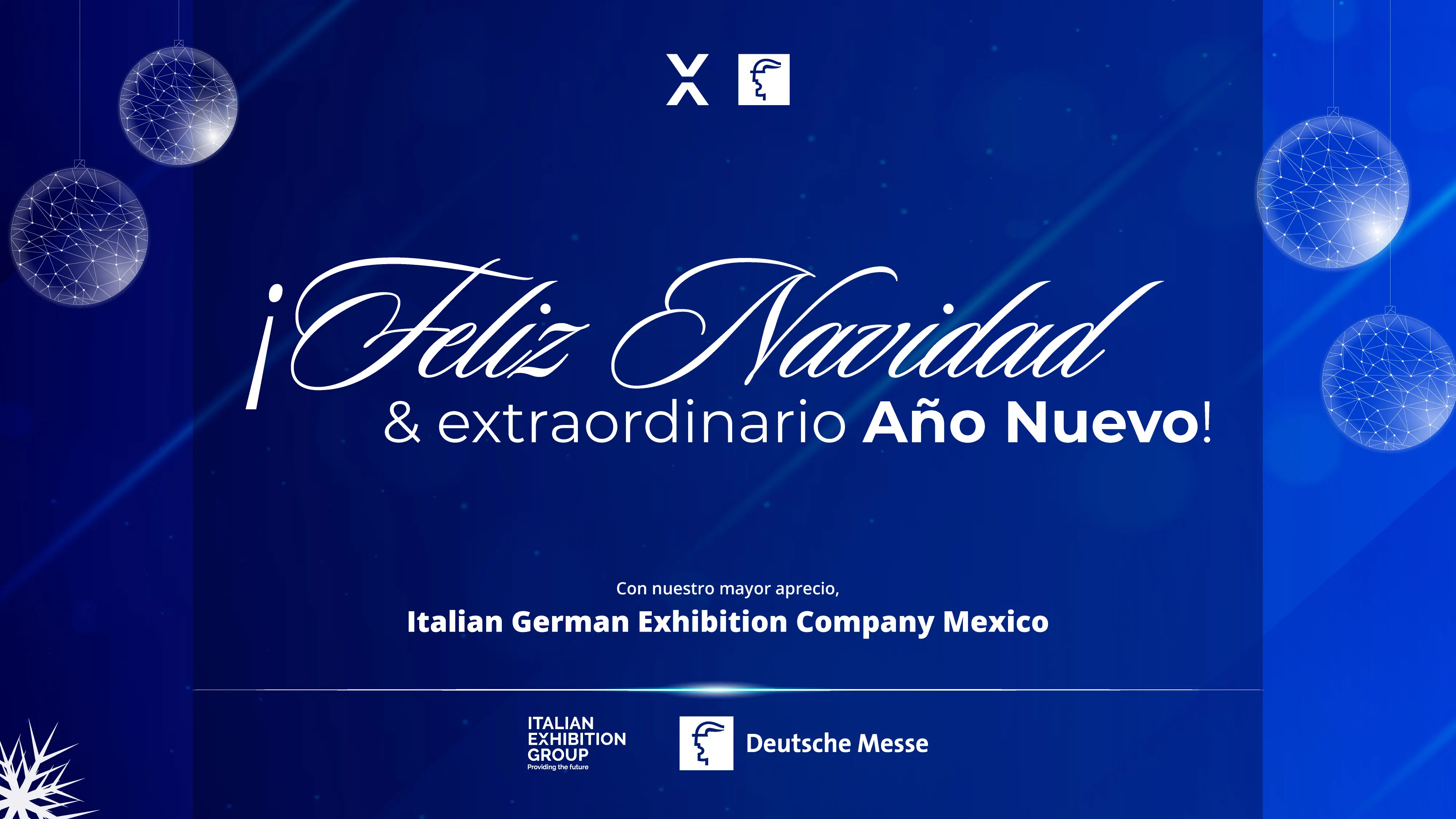 Banner de Navidad IGECo