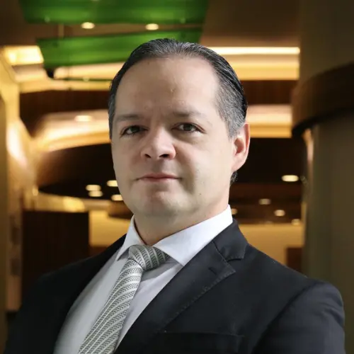 Pablo David Necoechea Porras